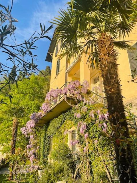 Villa Gina 바레나 외부 사진